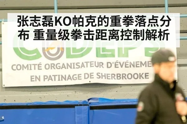 张志磊KO帕克的重拳落点分布 重量级拳击距离控制解析